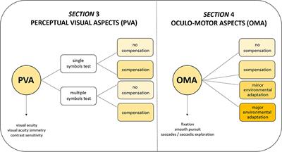 Visual Function Score: A New Clinical Tool to Assess Visual Function and Detect Visual Disorders in Children